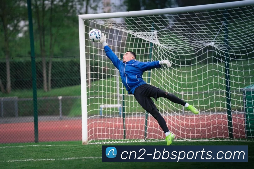 BBSport体育APP下载平台生态图